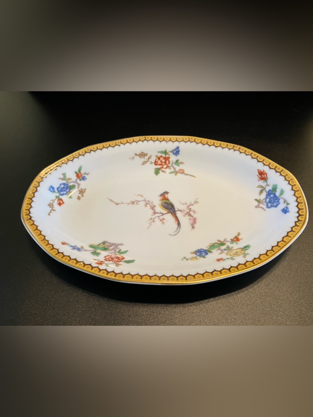 Theodore Haviland Limoges “Eden” Porcelain Relish Dish